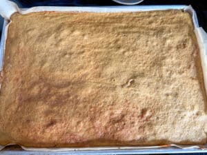 Baked Pumpkin Bars