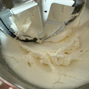 Creamed Butter and Sugar