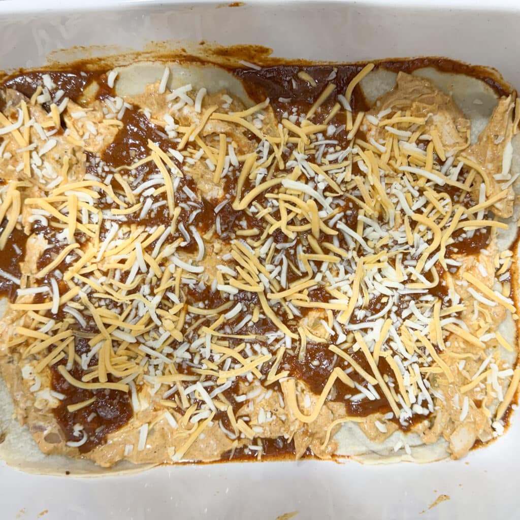 Cheese on Top of First Layer of Chicken Enchiladas with Cream Cheese