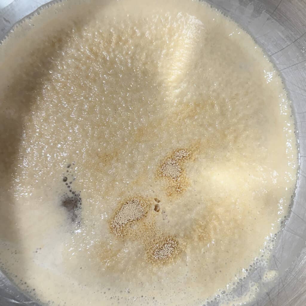 Active Yeast