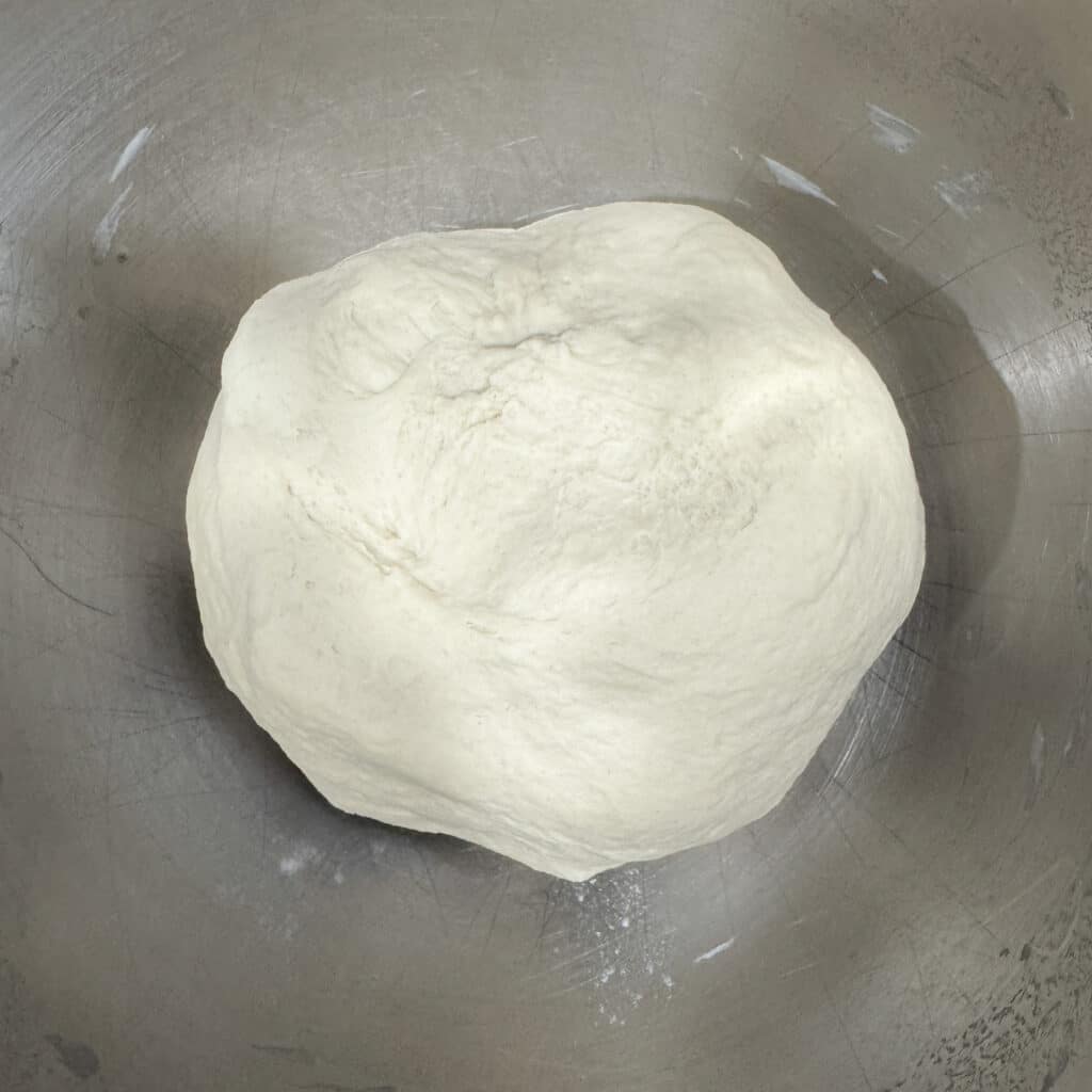 Ball of Pizza Dough Before It Has Risen