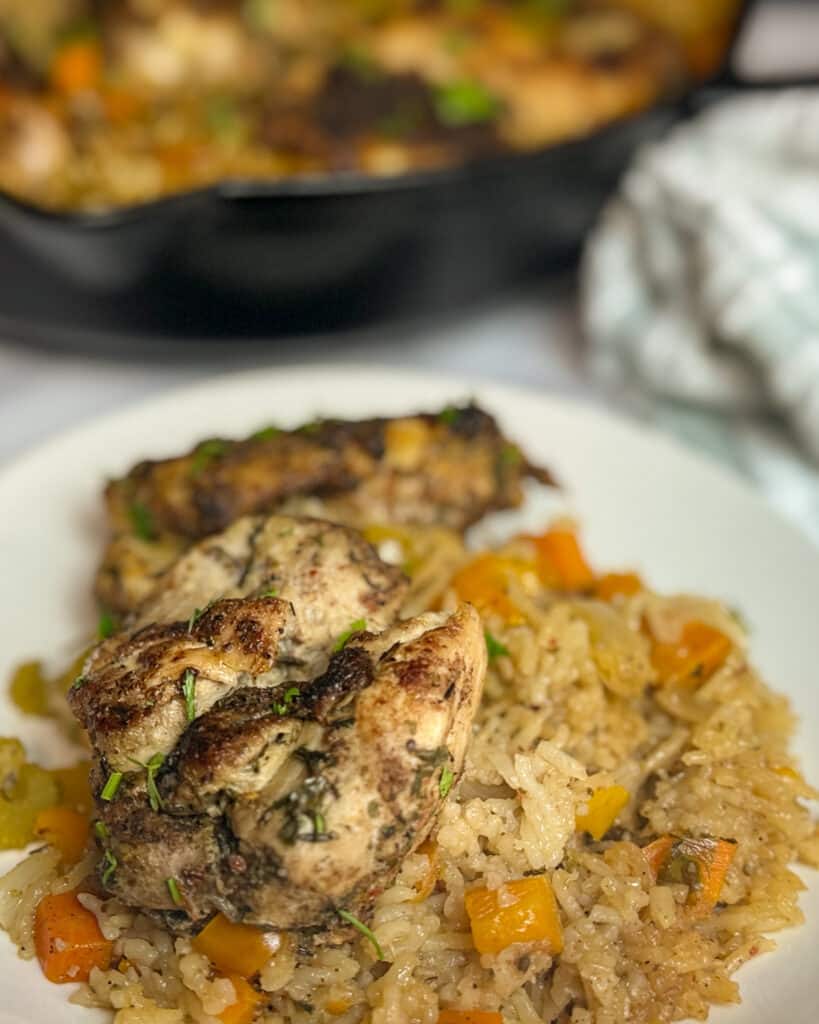 Serving of Jerk Chicken and Rice