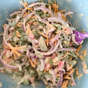 Everything but the Potatoes in the Potato Salad Combined