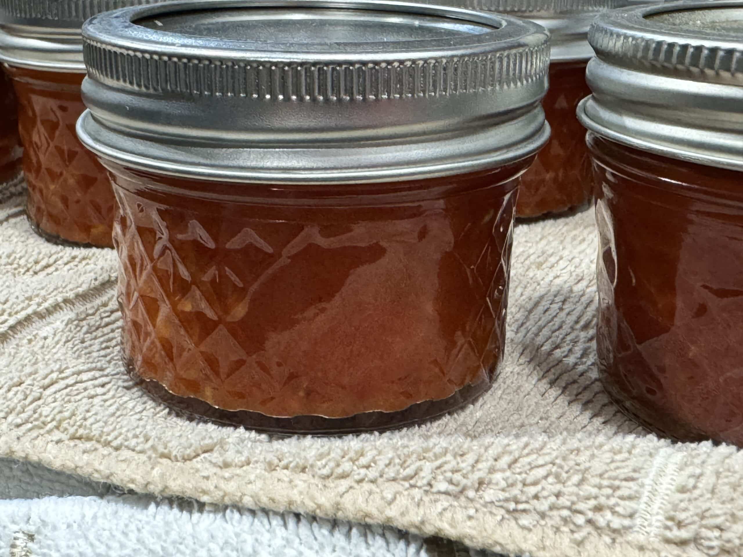 Jars of Tomato Paste