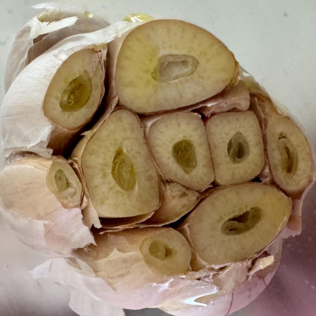 Head of Garlic with Tips Cut off