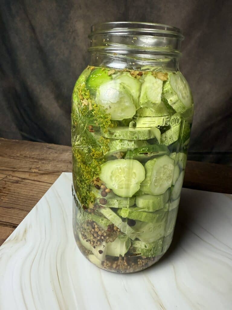 Pickles Fermenting in a Jar
