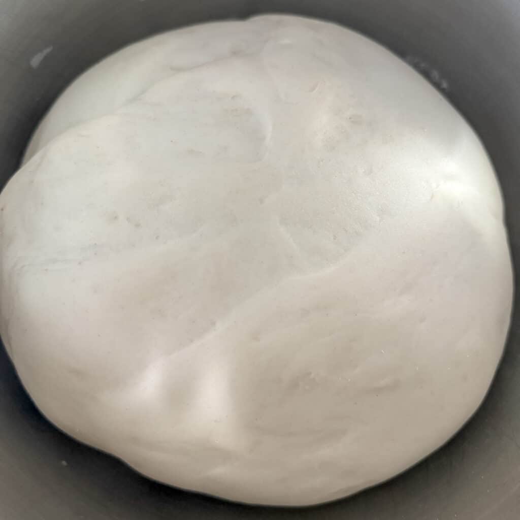 Pizza Dough Ball Doubled in Size