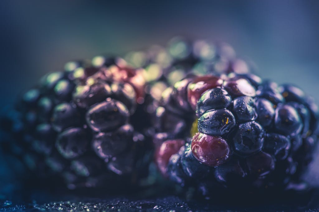 Close-up of Juicy Blackberries Showcasing Their Vibrant Colors and Freshness.