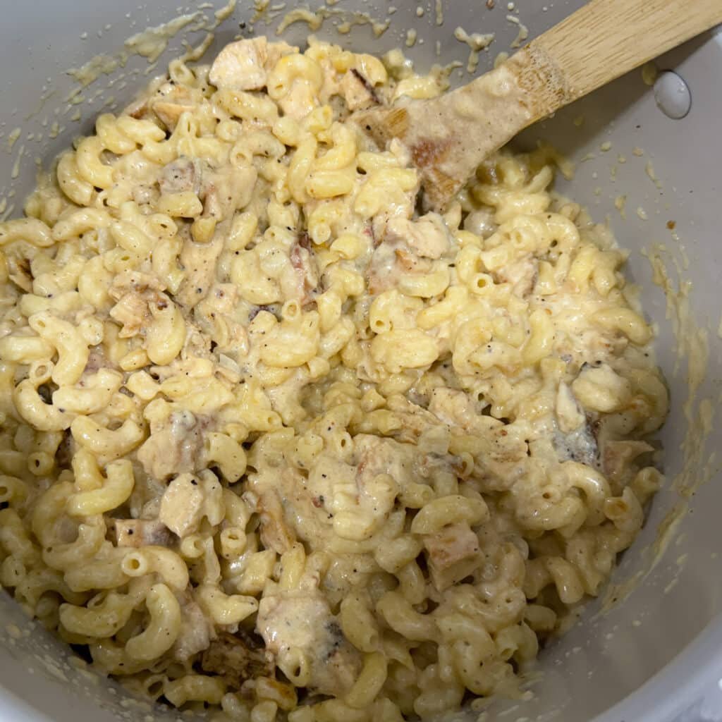 Barbecue Chicken Macaroni and Cheese Combined in Pot