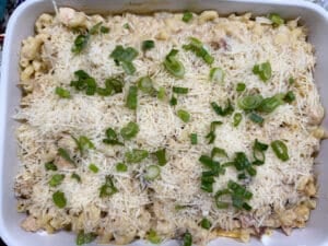 Parmesan and Scallions on Top of Macaroni