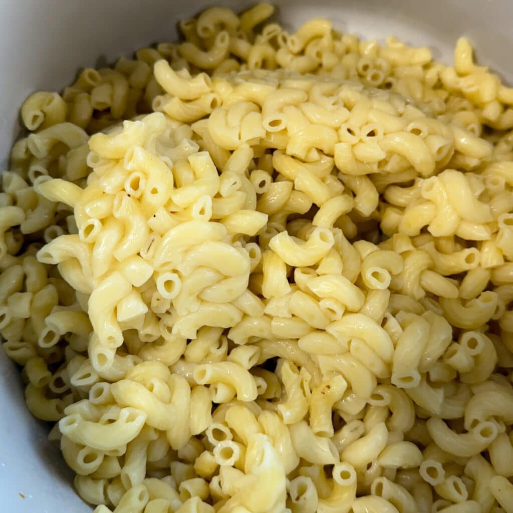 Cooked Macaroni